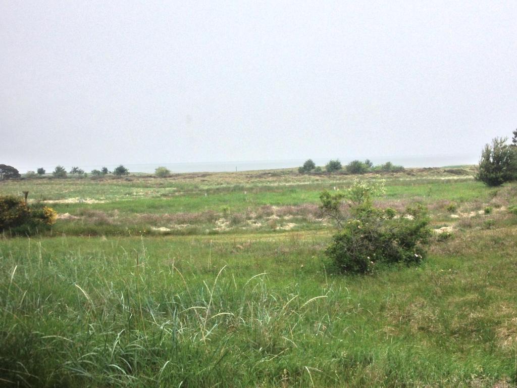 Hotel Vadehavet Rømø Kirkeby Dış mekan fotoğraf